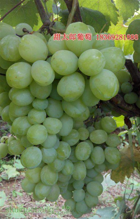 �� (����).jpg