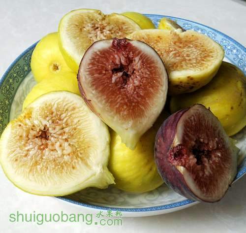 DSCN2236.JPG