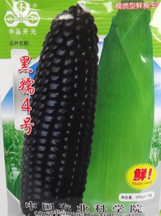 Ŵ.jpg