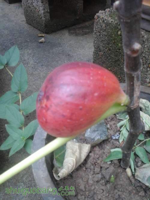 20140810_065408.jpg
