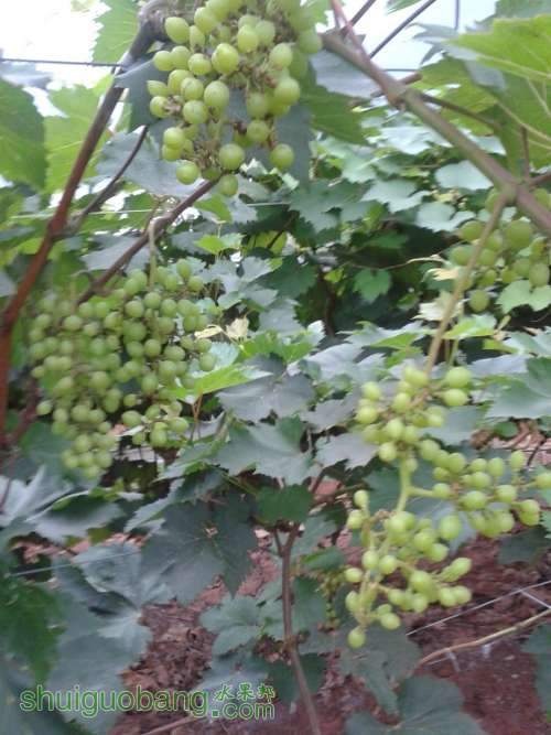 20140809_094417.jpg
