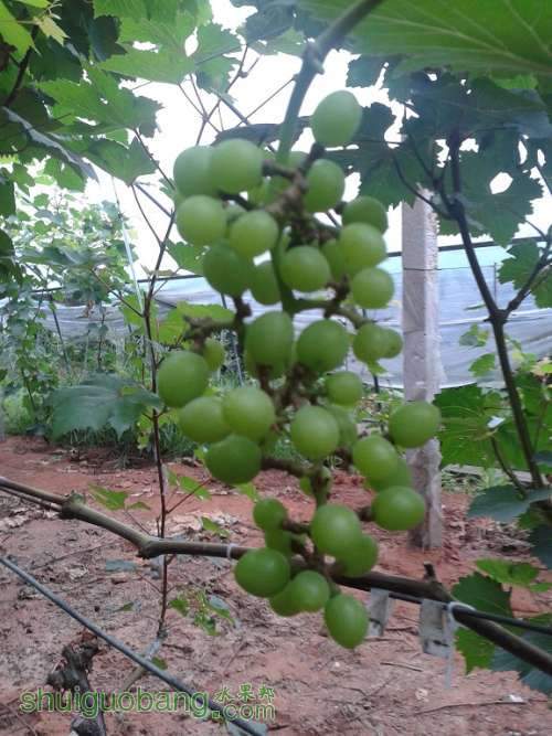 20140809_094327.jpg