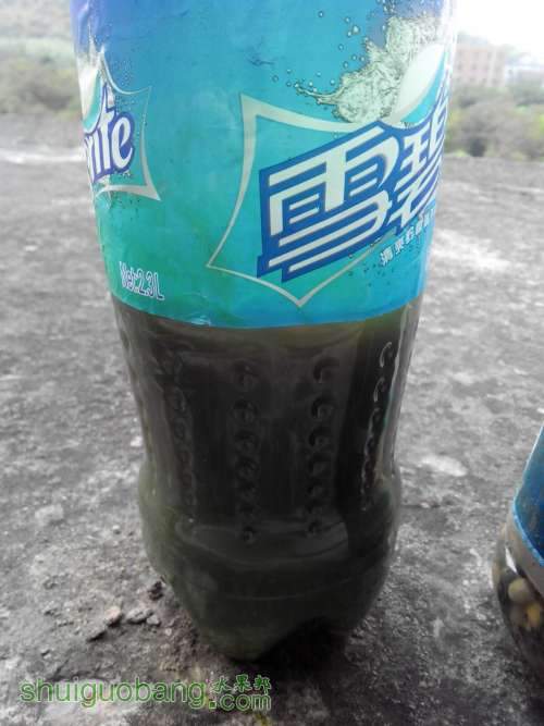 QQͼƬ20140811183751.jpg