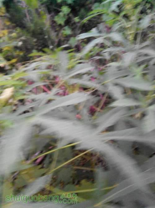 QQͼƬ20140811185929.jpg