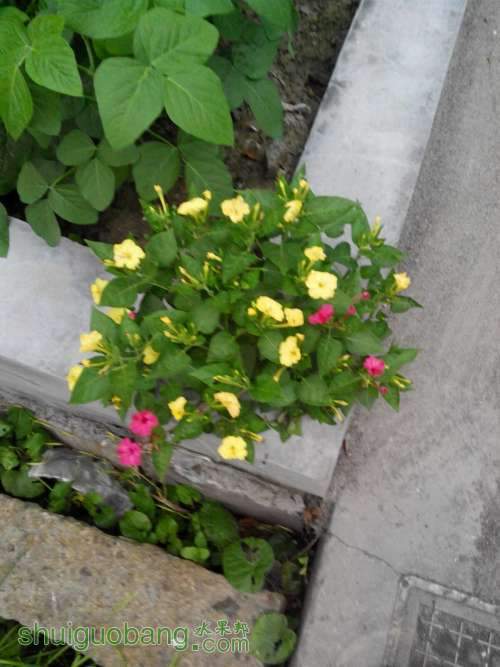 QQͼƬ20140811190004.jpg