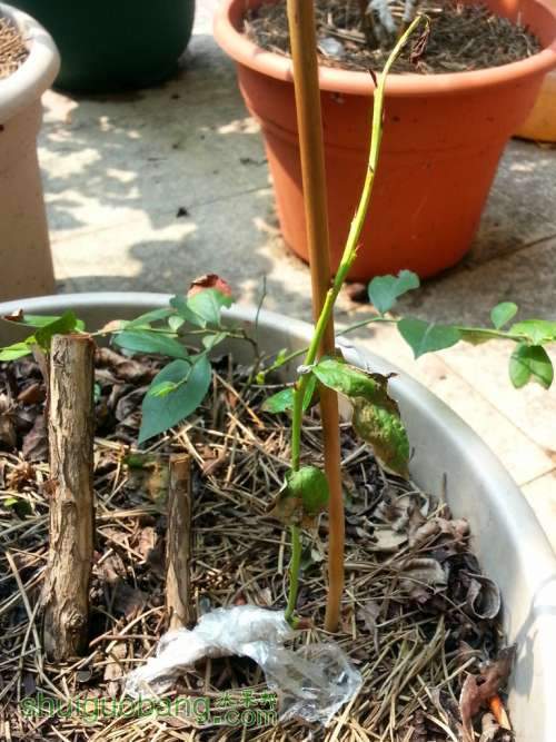 20140803_100930_����.jpg