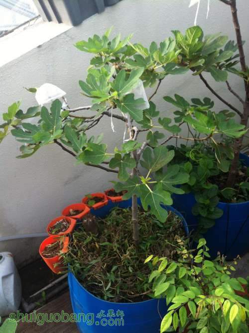 2014-08-12 065325.jpg