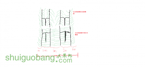 ޱ.png
