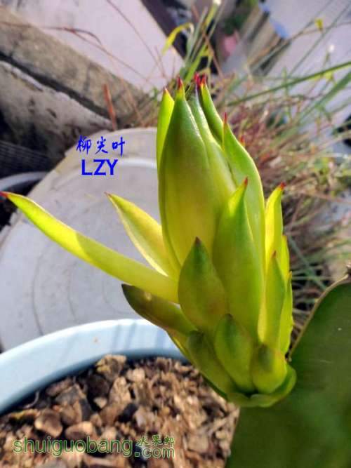 ζ׻08-04B.JPG