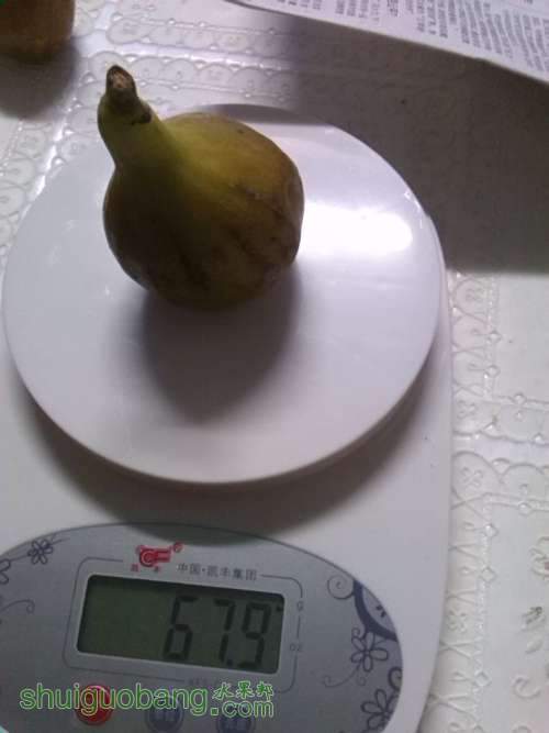 ��Ƭ 191.jpg