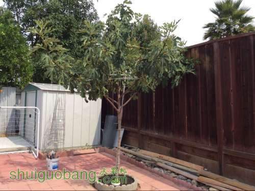 QQͼƬ20140814221700.jpg