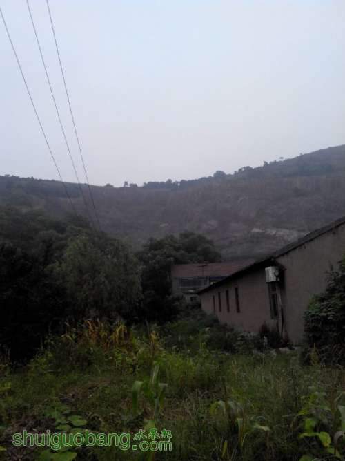 QQͼƬ20140815182517.jpg