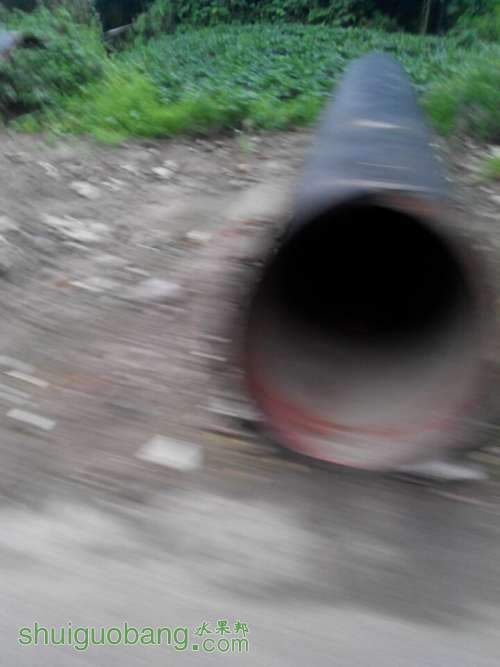 QQͼƬ20140815182533.jpg