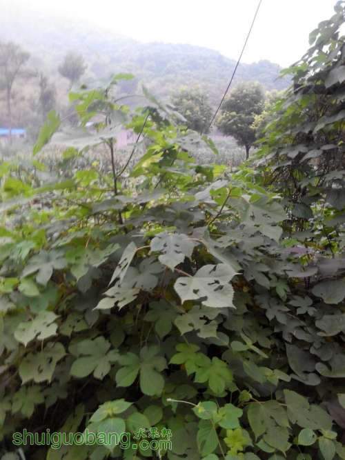 QQͼƬ20140815182631.jpg