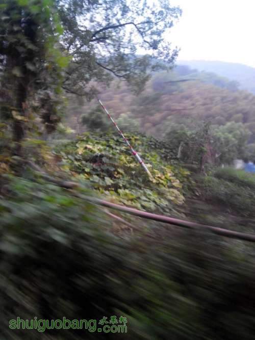 QQͼƬ20140815182643.jpg