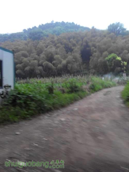 QQͼƬ20140815182706.jpg
