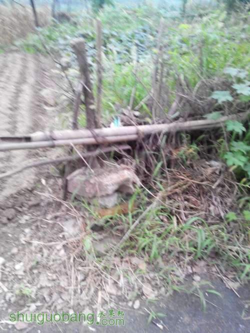 QQͼƬ20140815182738.jpg
