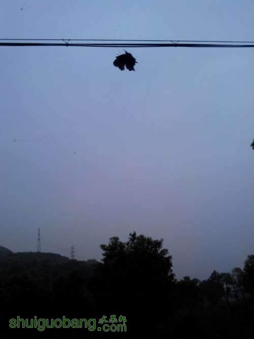QQͼƬ20140815182746.jpg