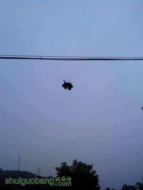 QQͼƬ20140815182750.jpg