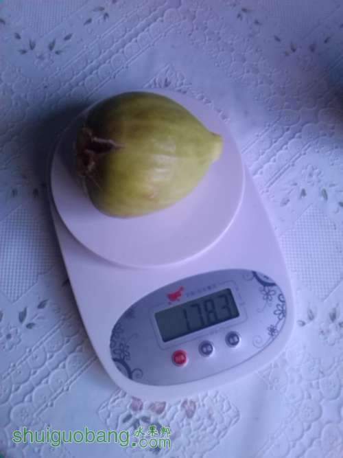 ��Ƭ 415.jpg