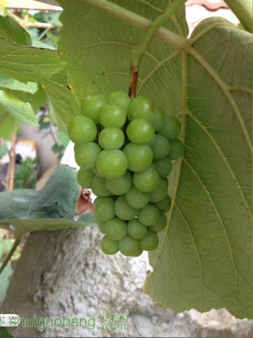 QQͼƬ20140818092021.jpg