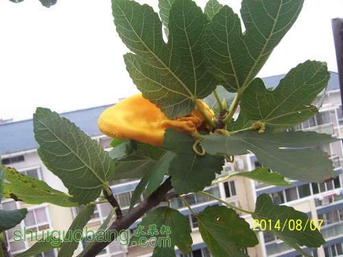 100_9070.JPG