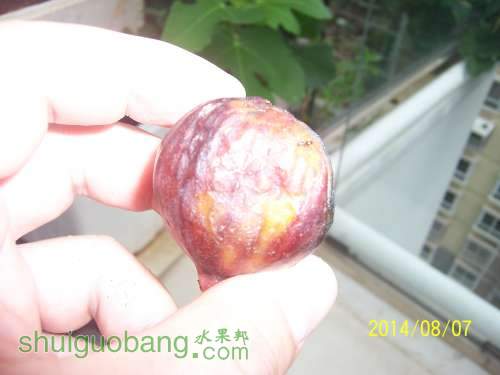 100_9071.JPG