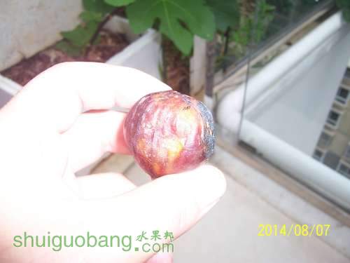 100_9072.JPG