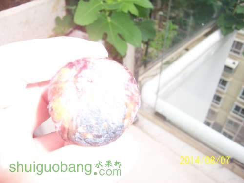 100_9073.JPG