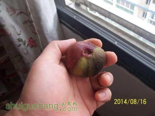 100_9083.JPG
