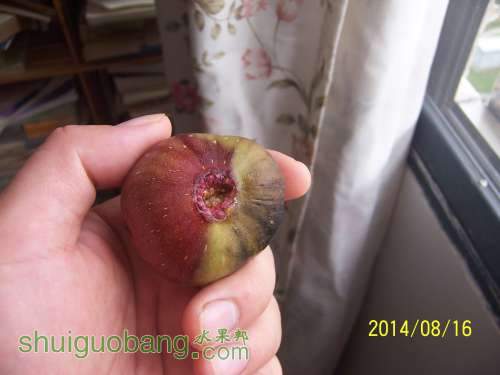 100_9085.JPG