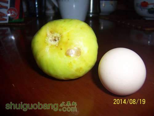 100_9183.JPG