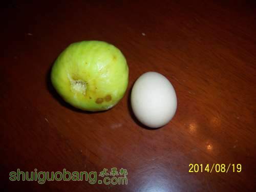 100_9184.JPG