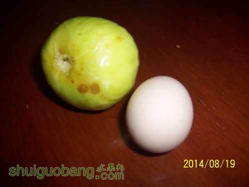 100_9186.JPG