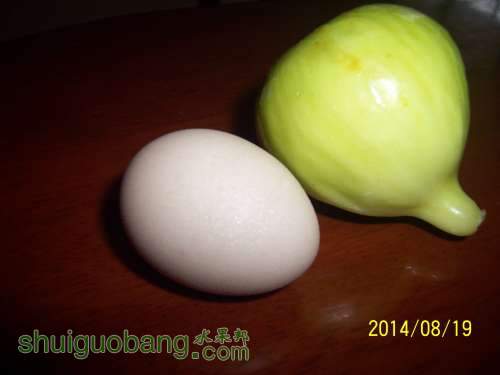 100_9187.JPG