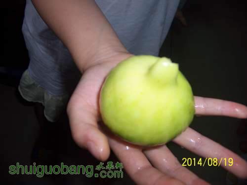100_9188.JPG