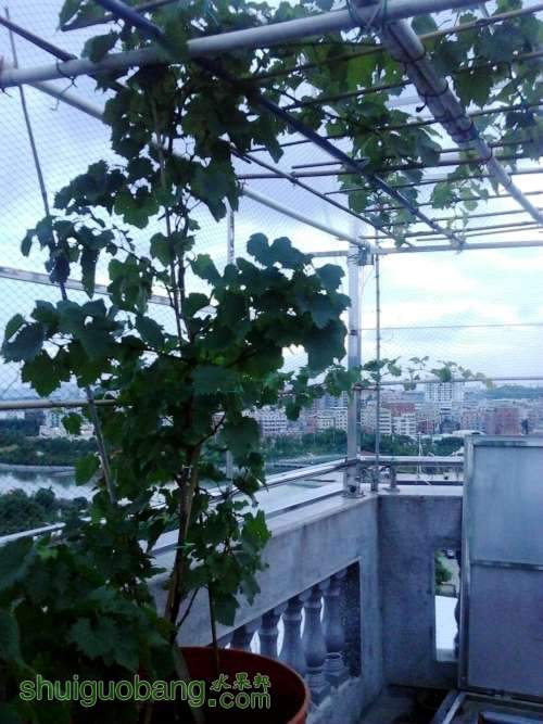 20140725_185444.jpg