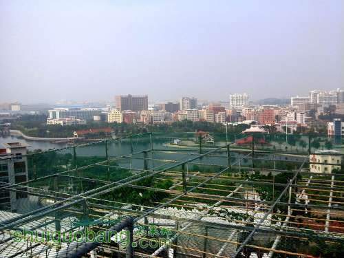 20140812_082144.jpg