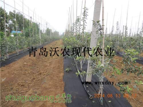 DSCN4747.JPG