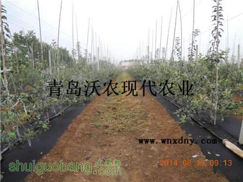 DSCN4748.JPG