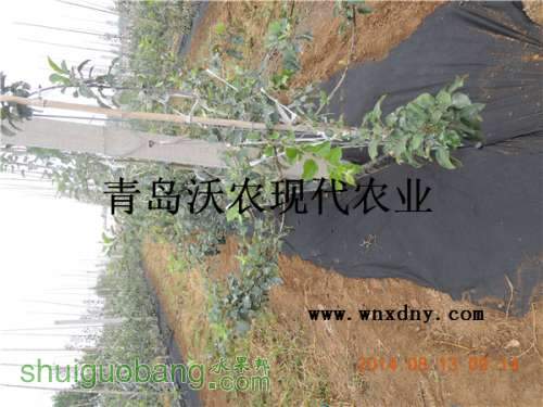 DSCN4751.JPG