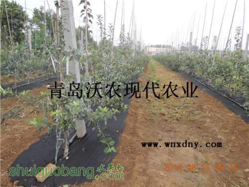 DSCN4753.JPG
