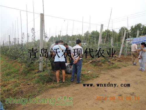 DSCN4755.JPG