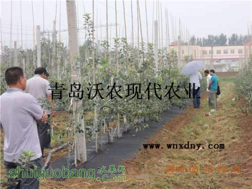 DSCN4756.JPG