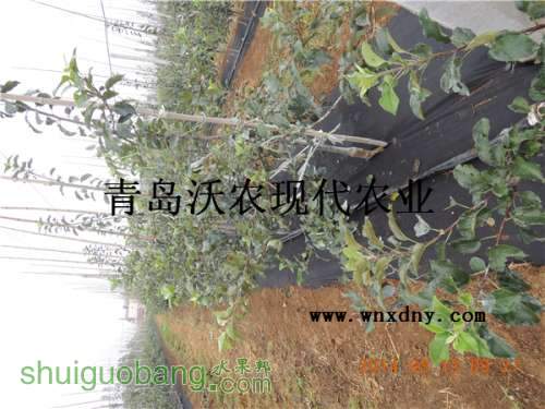 DSCN4759.JPG