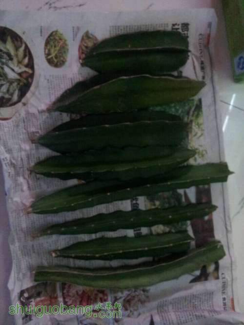 QQͼƬ20140820160644.jpg