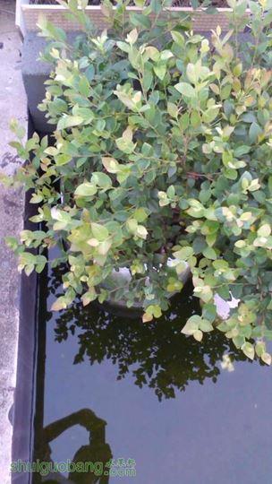 IMG_20140818_183543.jpg