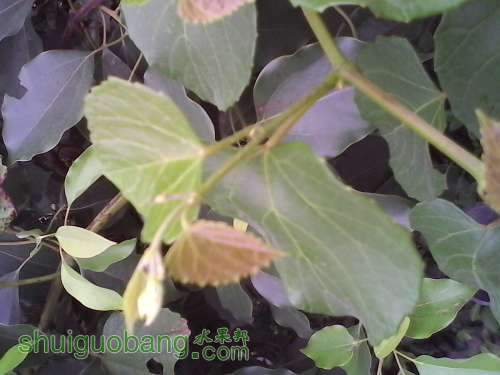 IMG_20140816_135246.jpg
