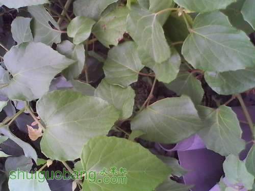 IMG_20140816_135257.jpg