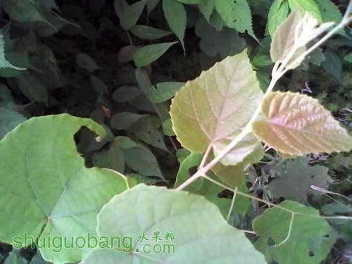 IMG_20140816_141753.jpg